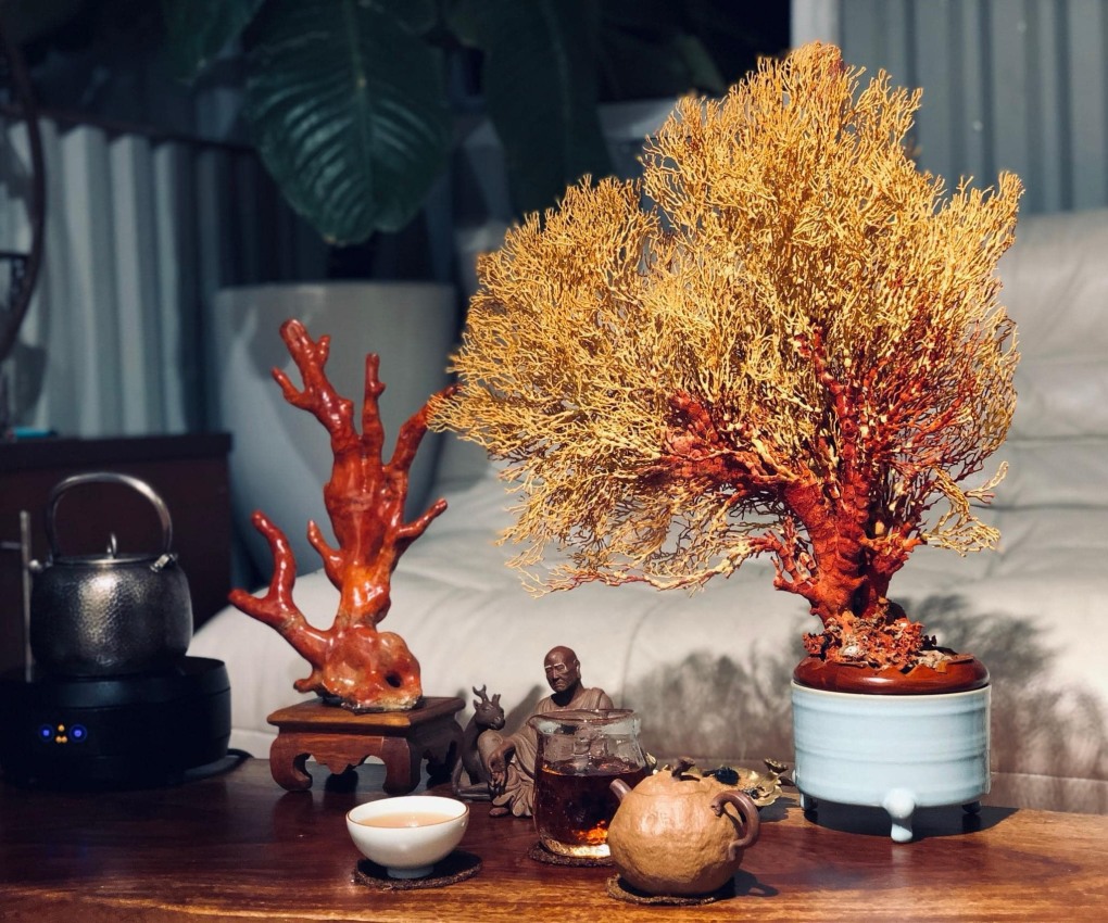 Vật phẩm phong thủy đặt ở bàn trà phòng khách